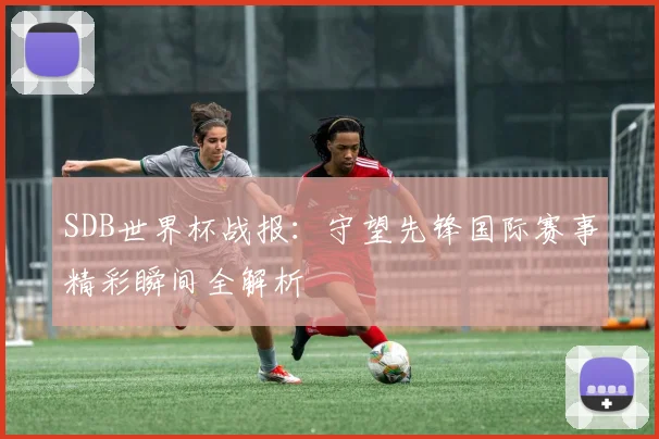 SDB世界杯战报：守望先锋国际赛事精彩瞬间全解析