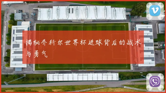 揭秘乔科尔世界杯进球背后的战术与勇气