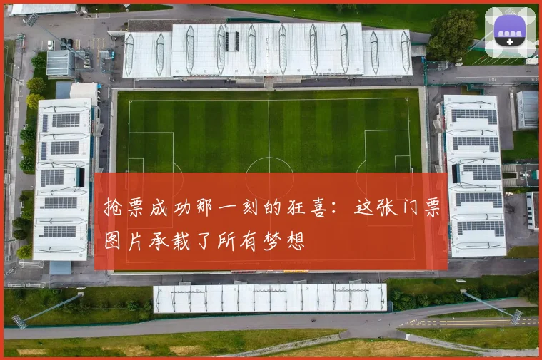 抢票成功那一刻的狂喜：这张门票图片承载了所有梦想